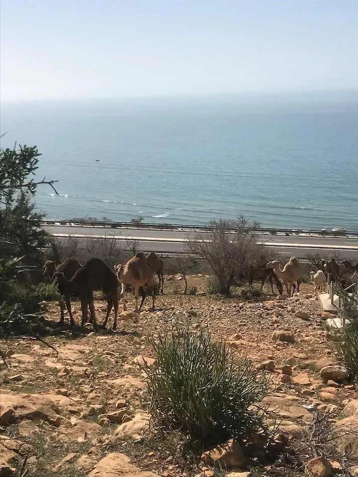 Pedro'S Camp Hotell Agadir